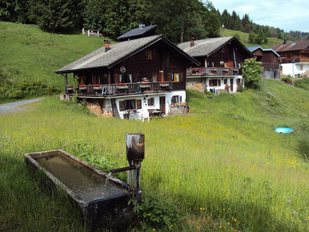 Ferienwohnungen Im Blockhaus Metzler Schwarzenberg im Bregenzerwald Eksteriør billede