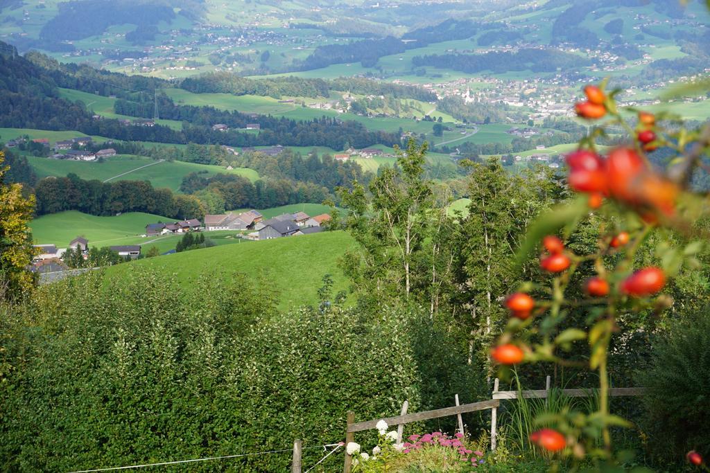 Ferienwohnungen Im Blockhaus Metzler Schwarzenberg im Bregenzerwald Eksteriør billede