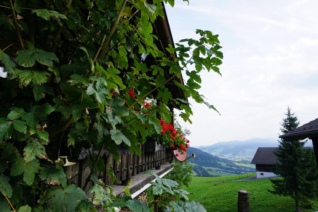 Ferienwohnungen Im Blockhaus Metzler Schwarzenberg im Bregenzerwald Eksteriør billede