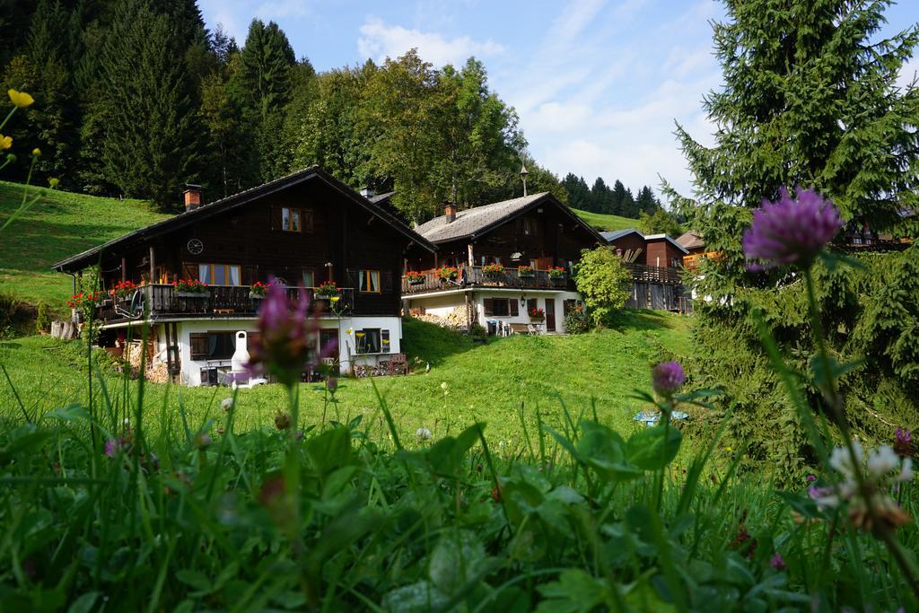 Ferienwohnungen Im Blockhaus Metzler Schwarzenberg im Bregenzerwald Eksteriør billede